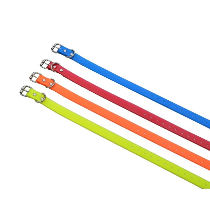 Sangle 19mm dressage chien