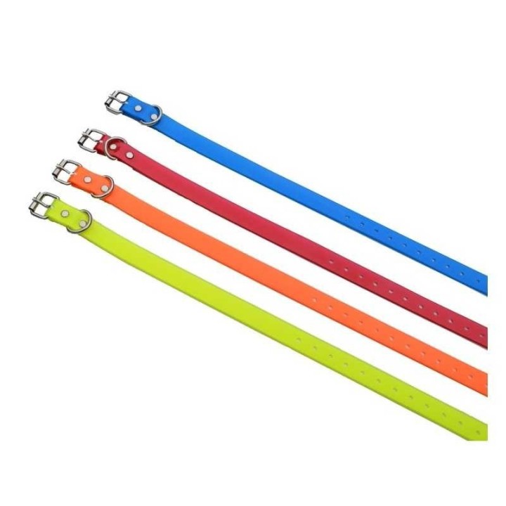 sangles collier dressage chien