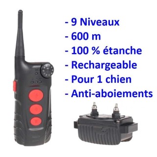 collier rappel chien