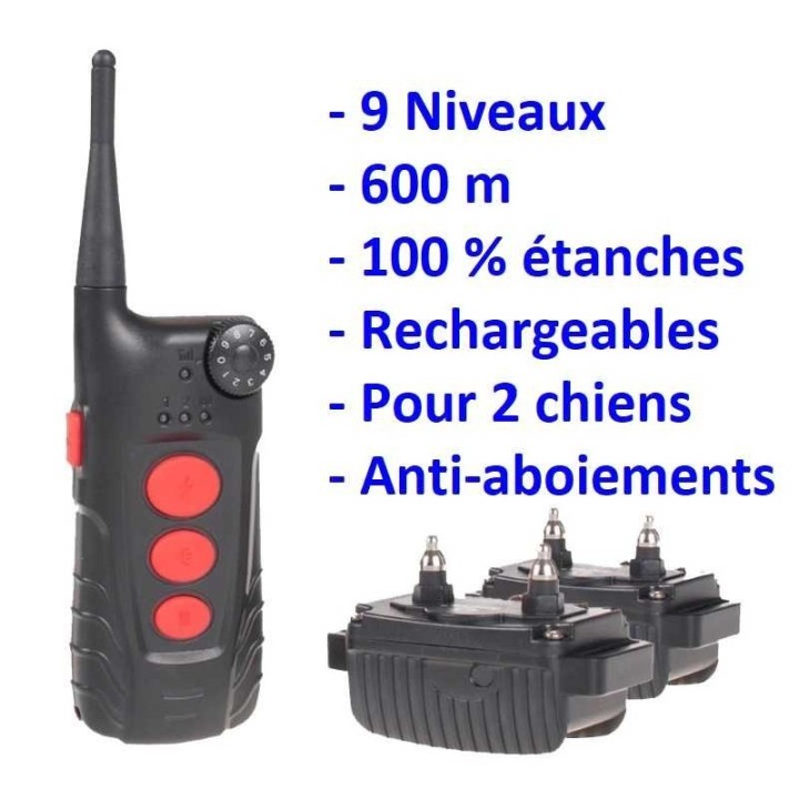 meilleur collier de dressage pour chien