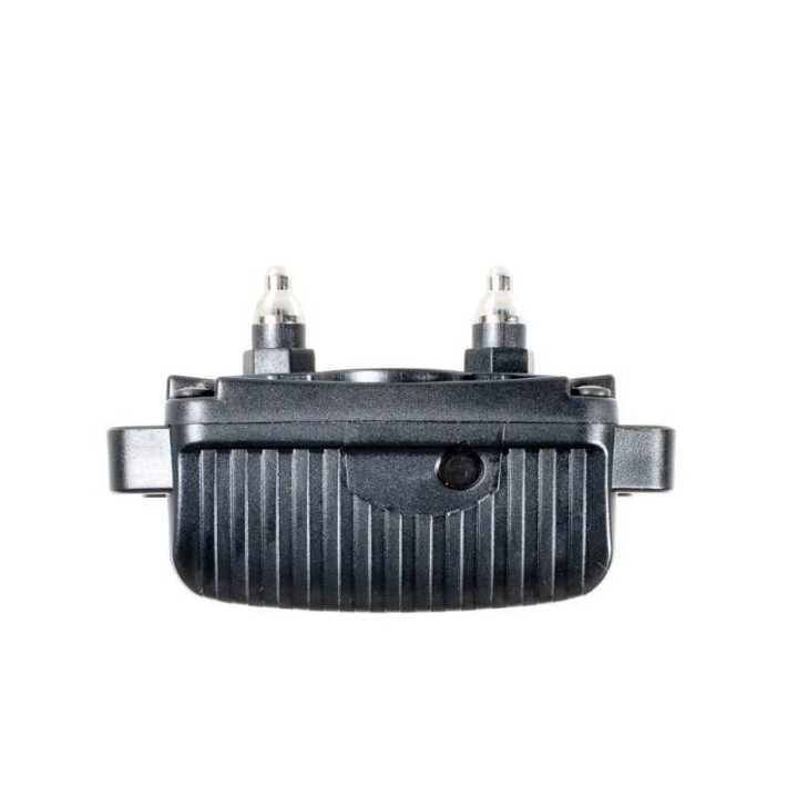 colliers anti aboiement rechargeable