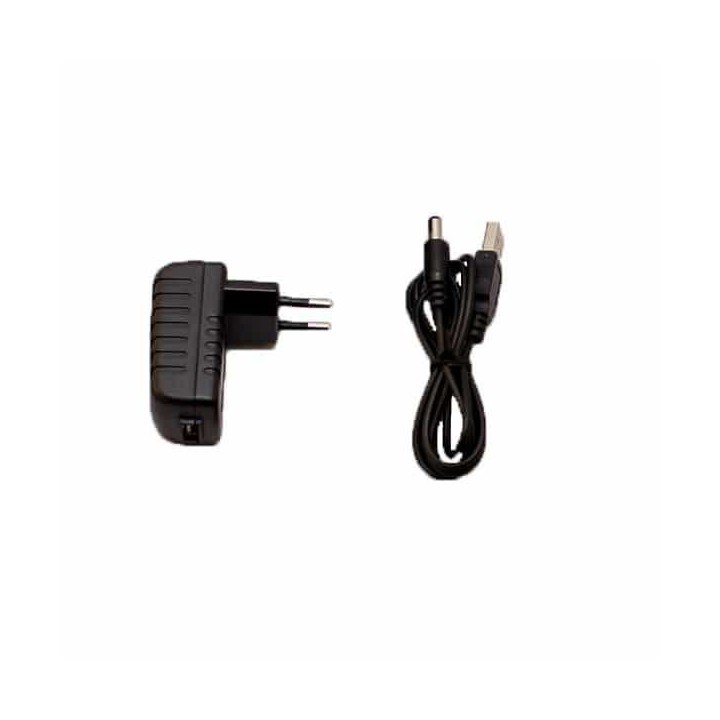Chargeur lent pour collier de dressage Pet Tainer 300mAh