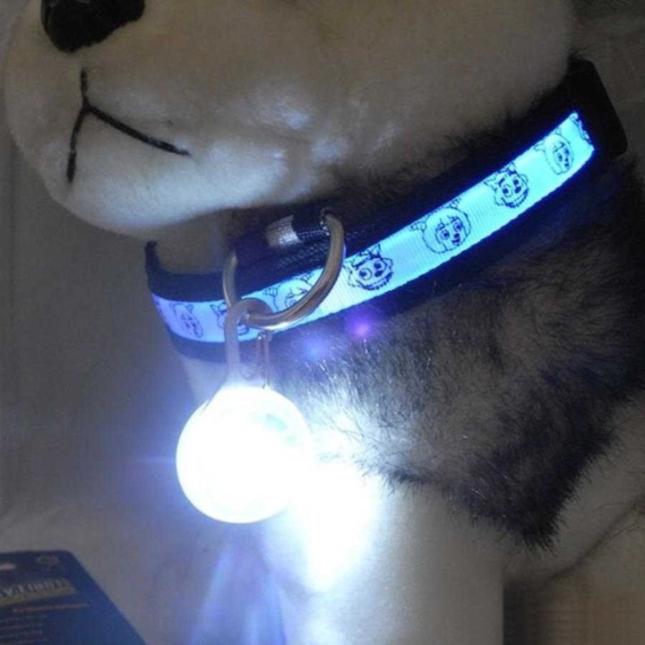 Collier Pendentif lumineux pour chien