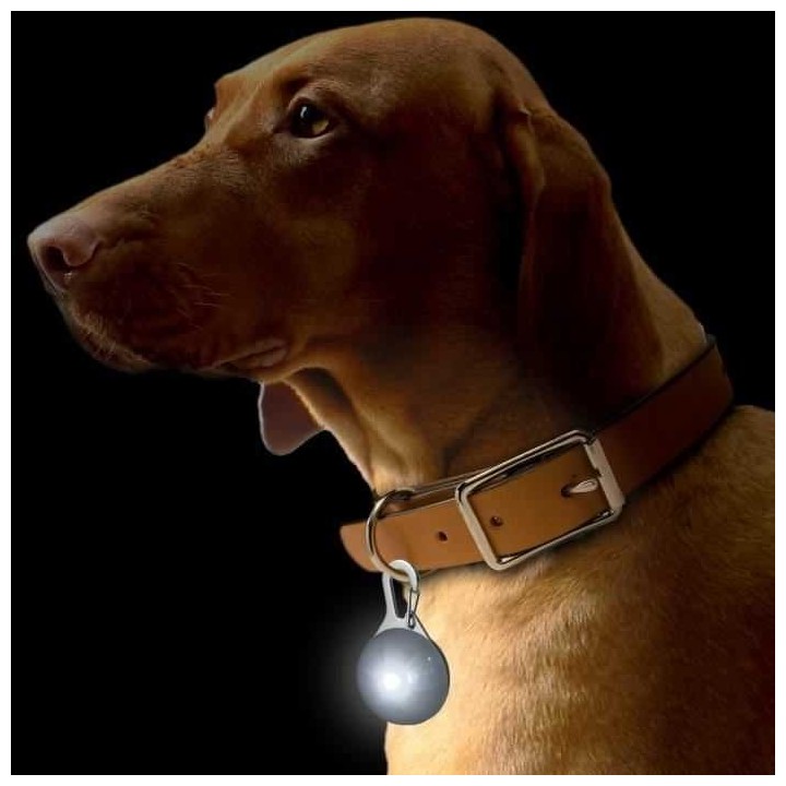 Pendentif lumineux pour chat