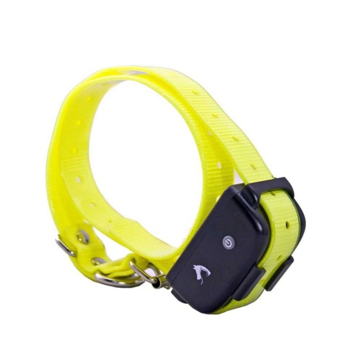 collier electrique