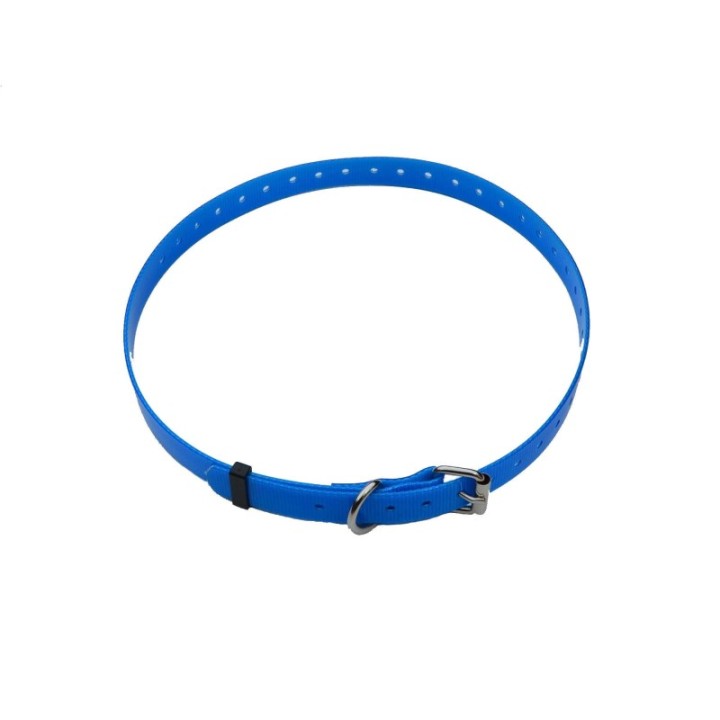 Sangle bleue chien collie
