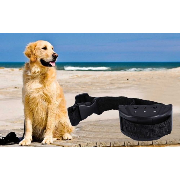 Collier anti aboiement pour chien