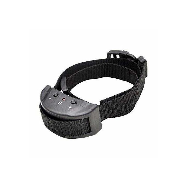 Collier anti aboiement avis vétérinaire