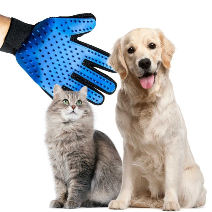 Gant de toilettage chien chats efficace