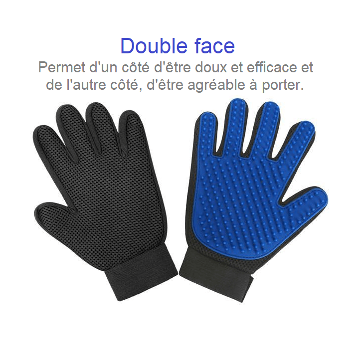 Gant de toilettage poils chien