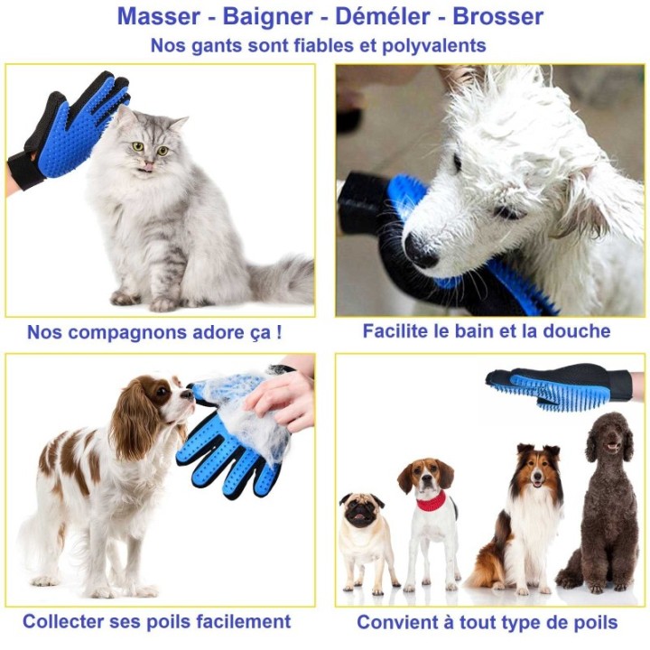 problème mue pelage chien