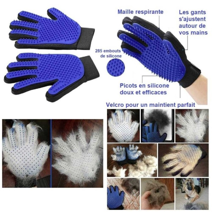 Comment limiter la perte de poils de votre chien