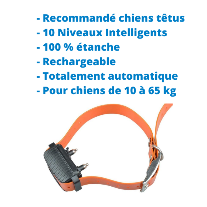 Collier anti-aboiements efficace chiens têtus