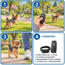Collier d éducation ultra compact pour très petit chien : fonctionnement en 3 étapes et l essentiel
