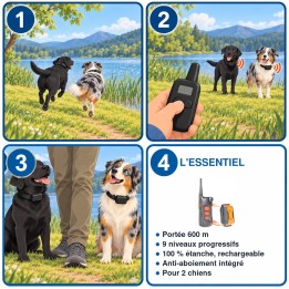 Kit de 2 colliers de dressage 600 m étanches et rechargeables : utilisation en 3 étapes et caractéristiques