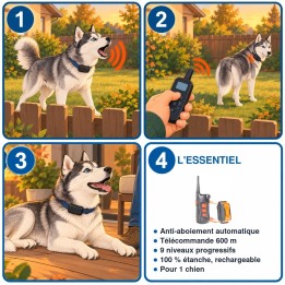 Collier anti-aboiement avec télécommande 600 m : utilisation en 3 étapes et caractéristiques