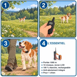 Collier de dressage 1000 m étanche et rechargeable : utilisation en 3 étapes et caractéristiques