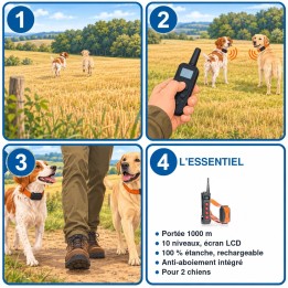 Kit de 2 colliers de dressage 1000 m étanches et rechargeables : utilisation en 3 étapes et caractéristiques
