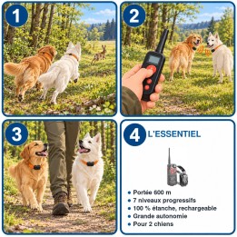 Collier de dressage 600 m 7 niveaux pour 2 chiens : utilisation en 3 étapes et caractéristiques