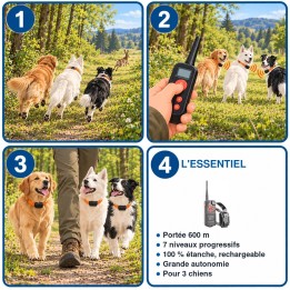 Collier de dressage 600 m 7 niveaux pour 3 chiens : utilisation en 3 étapes et caractéristiques