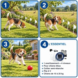 Clôture anti-fugue pour chien têtu de 10 à 25 kg : fonctionnement en 3 étapes et caractéristiques
