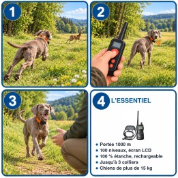 Collier de dressage 1000 m 100 niveaux étanche et rechargeable : utilisation en 3 étapes et caractéristiques