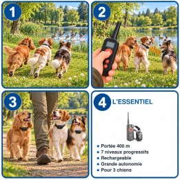 Colliers de dressage 400 m 7 niveaux pour 3 chiens : utilisation en 3 étapes et caractéristiques