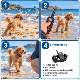 Collier d'éducation 300 m 100 niveaux étanche et rechargeable : utilisation en 3 étapes et caractéristiques