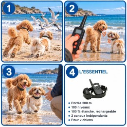 Colliers d'éducation 300 m 100 niveaux pour 2 chiens : utilisation en 3 étapes et caractéristiques