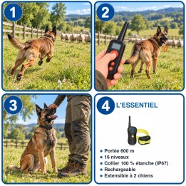 Collier de dressage 600 m 16 niveaux étanche et rechargeable : utilisation en 3 étapes et caractéristiques