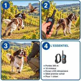 Collier de dressage 300 m 16 niveaux pour 1 chien : utilisation en 3 étapes et caractéristiques