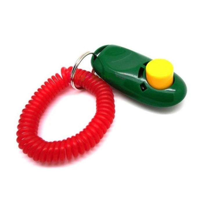 clicker chien