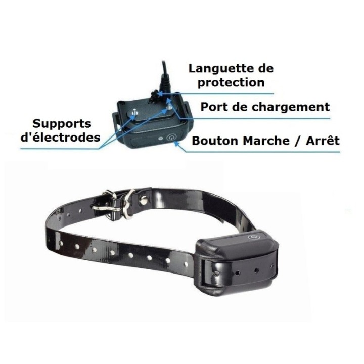 2 Colliers De Dressage Pas Chers