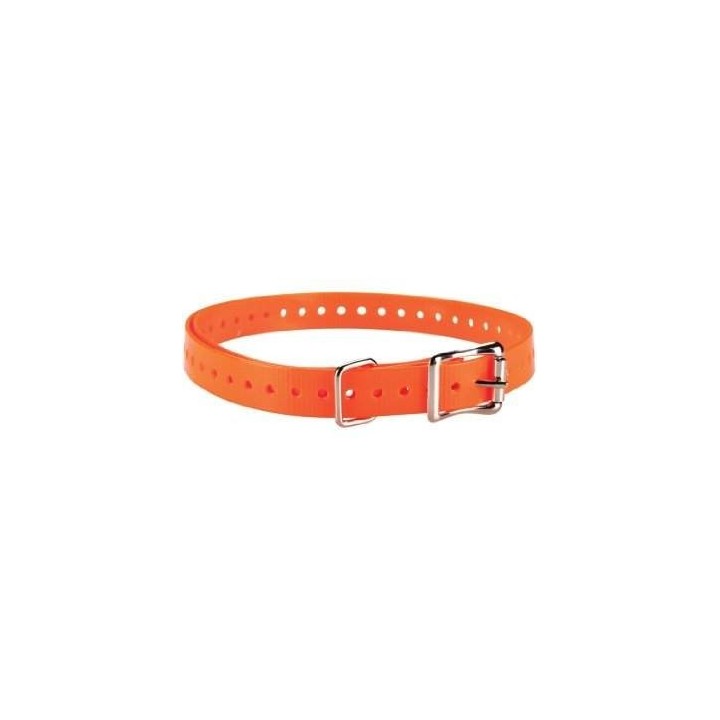 Sangle orange à boucle de collier de dressage