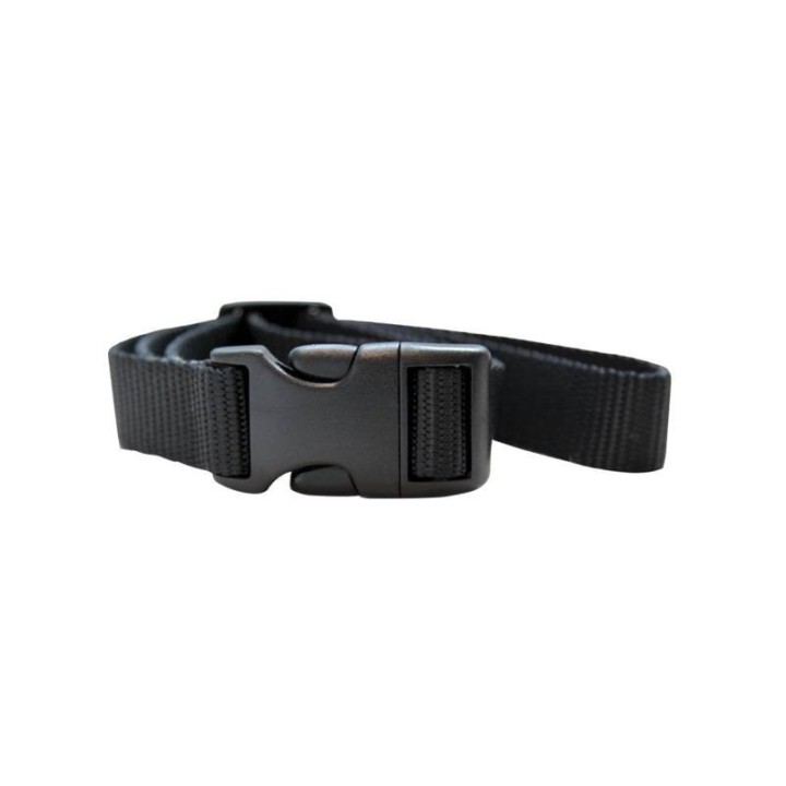 Sangle nylon de collier de dressage