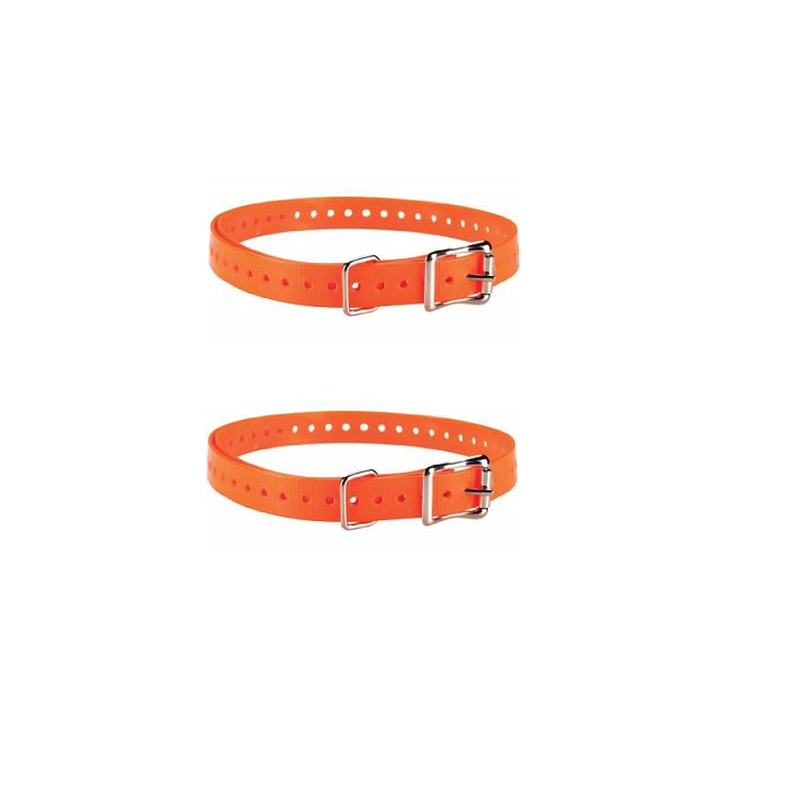 Deux sangles oranges à boucles pour collier de dressage