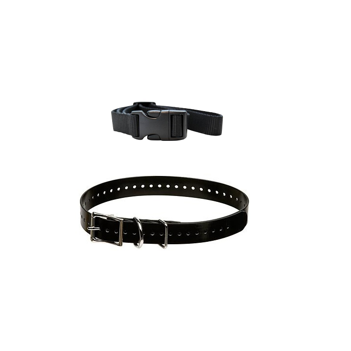 Une sangle nylon noire et une sangle noire à boucle pour collier de dressage