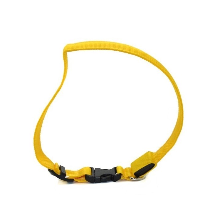 Collier chaton