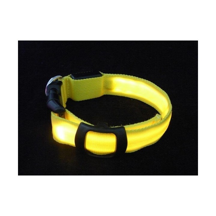 Collier de chien