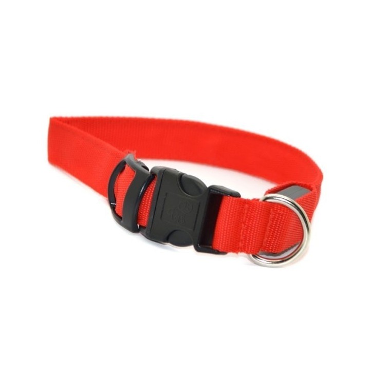 Collier de chien de chasse