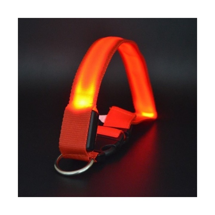 Collier de sécurité pour chiens