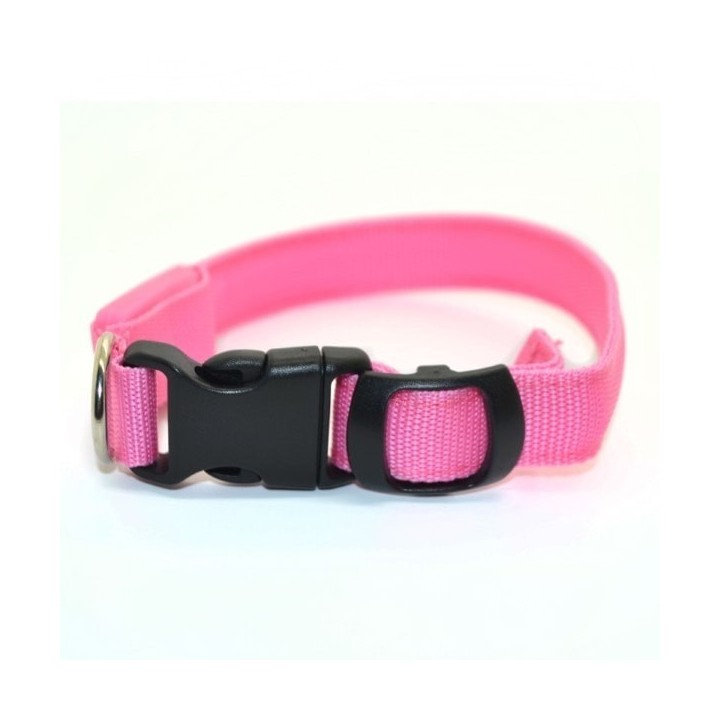 Collier LED pour chien