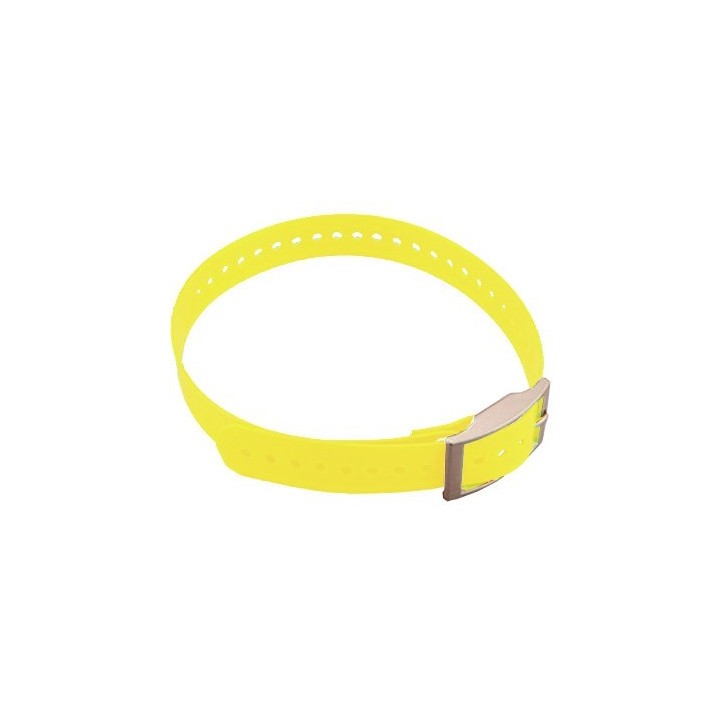 collier dressage rechargeable