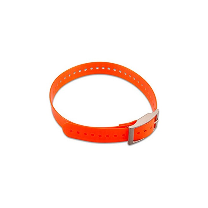 Collier de dressage decathlon