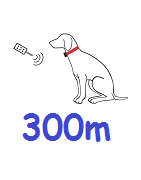300m