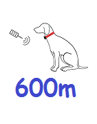 600m