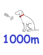 1000m