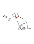 Pour 1 chien