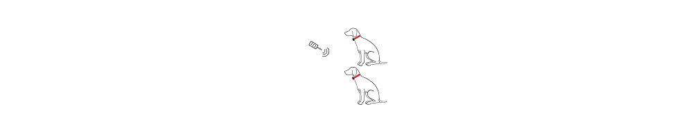 Doggy DIFFUSION - Colliers d'éducation et de dressage pour 2 chiens