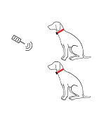 Pour 2 chiens